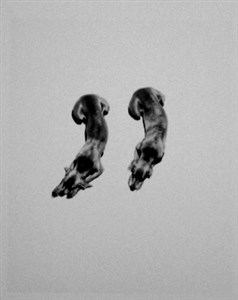 Image description is not available for 2001.089